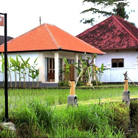 Padi Guest House Keramas Exterior foto